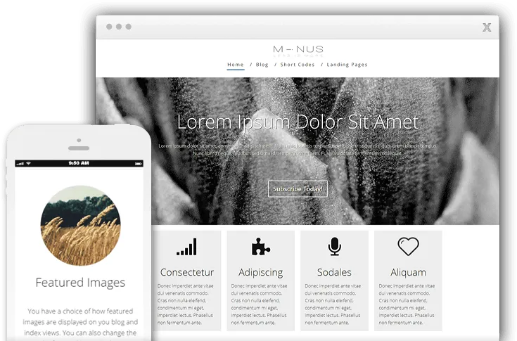Thrive Minus Theme