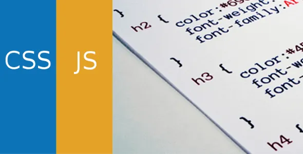 Simple Custom CSS and JS PRO